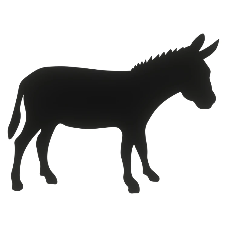 e6e2c64fc55bbdb56460dff8556955ab.png