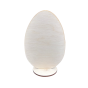 5384.png