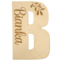 a51a80db2fb5e9ab2a12f5b8214afbf3.png