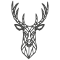 b4ba5afd399ac0f4f7cc56e9bb4cc85b.png
