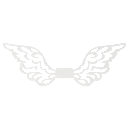 310a48486e13dcaecd4884f8ab4ab2e4.png