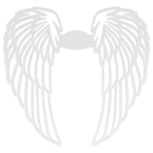 024f72ee2815de5e6661787c9bf370c6.png