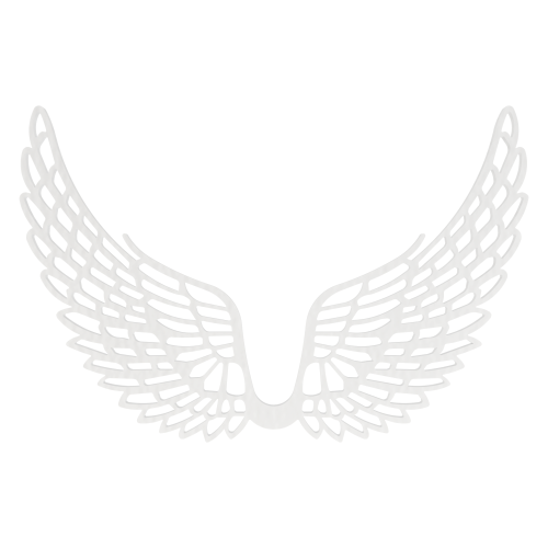 089f57b017da9095efb3a61df8b18a81.png