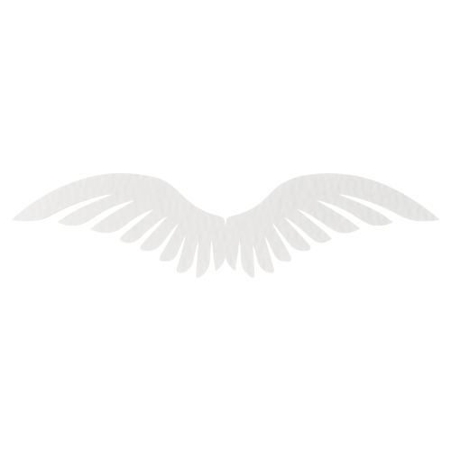 06dbdfa92a74065a36f04635043c2ee2.png