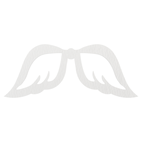 797d7eb69e4e548dc34a39aa732417f3.png