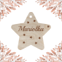 22d74ae7abdcad41c248573a87154537.png