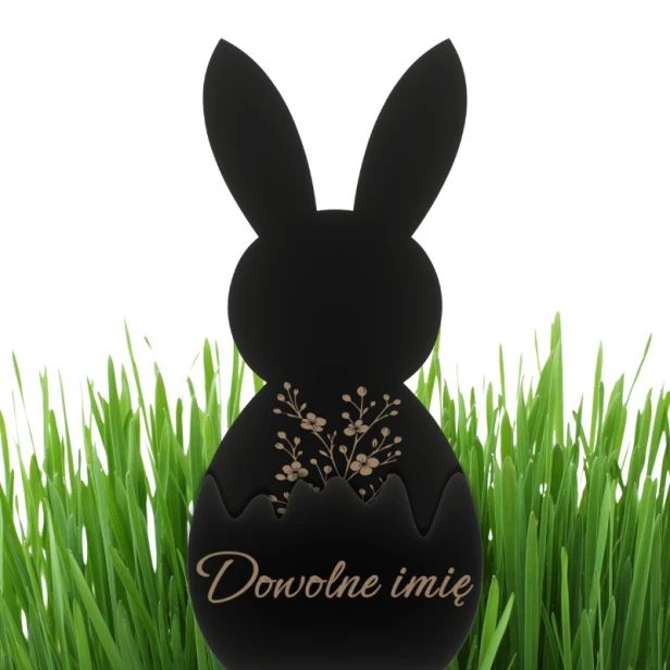 62cf481ed03932ae9816cac360846ab1.png