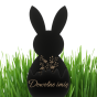 62cf481ed03932ae9816cac360846ab1.png
