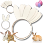 b0d4f13094a51e75a6763bc0f79e7689.png