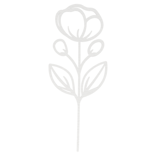 a803e3cd81e6cfe012e325fcca228de4.png