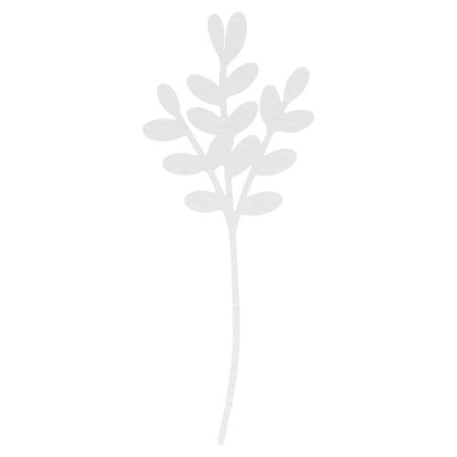 03dbe2ff2c76a2aeae383f786f66bef9.png