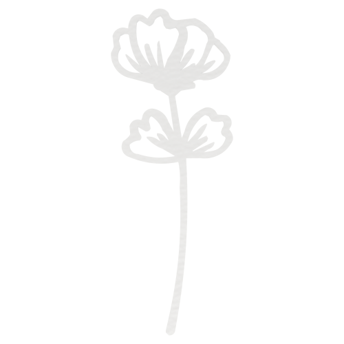 5063d2fc14c5e0bc4c40a92f2bd0fb67.png