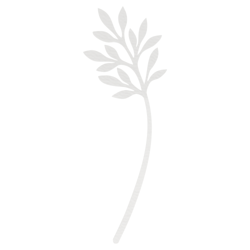 6512383a2d932081ad5fb0113d68a87e.png