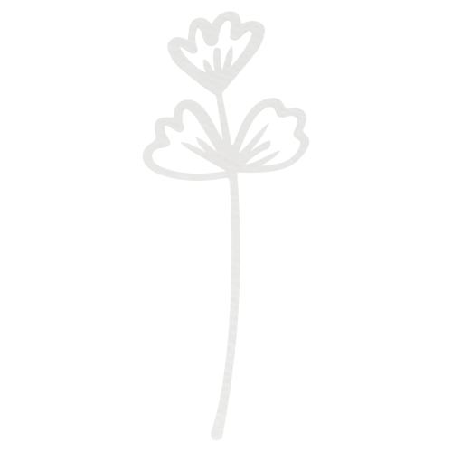 de560f492cf23f8768ead63ddde60bbd.png