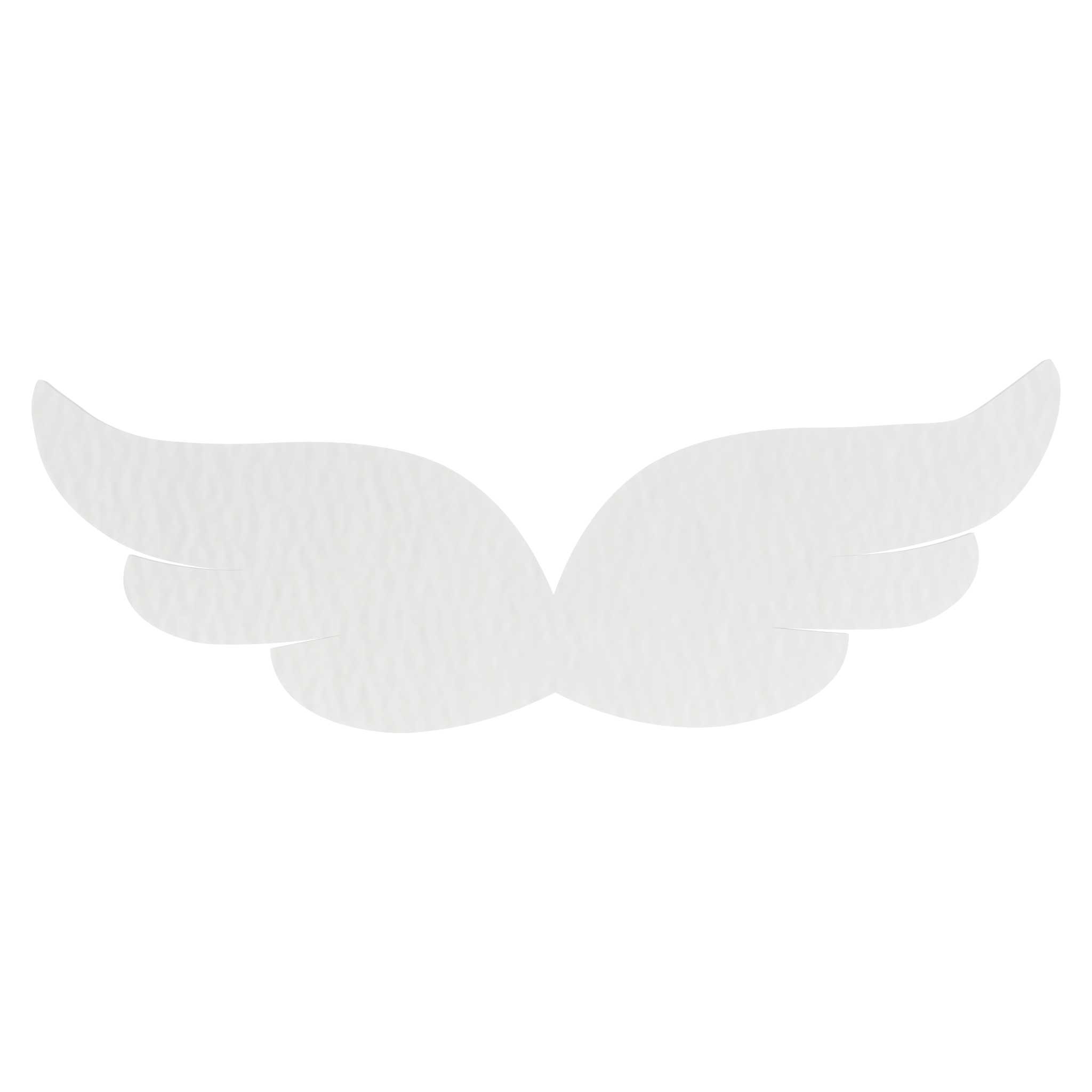 2832f3a0e54a6bc3ff2ede38818c9385.png